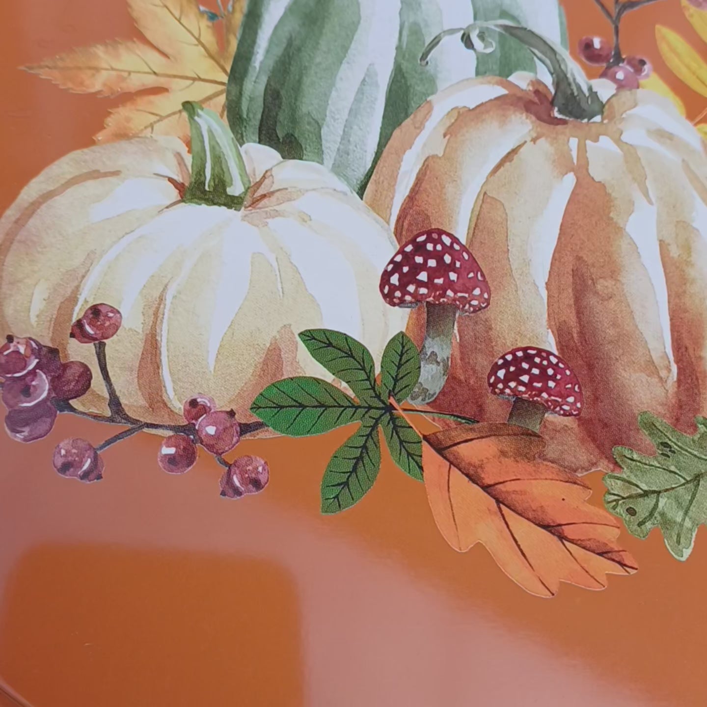 Moliūgėliai rausvi