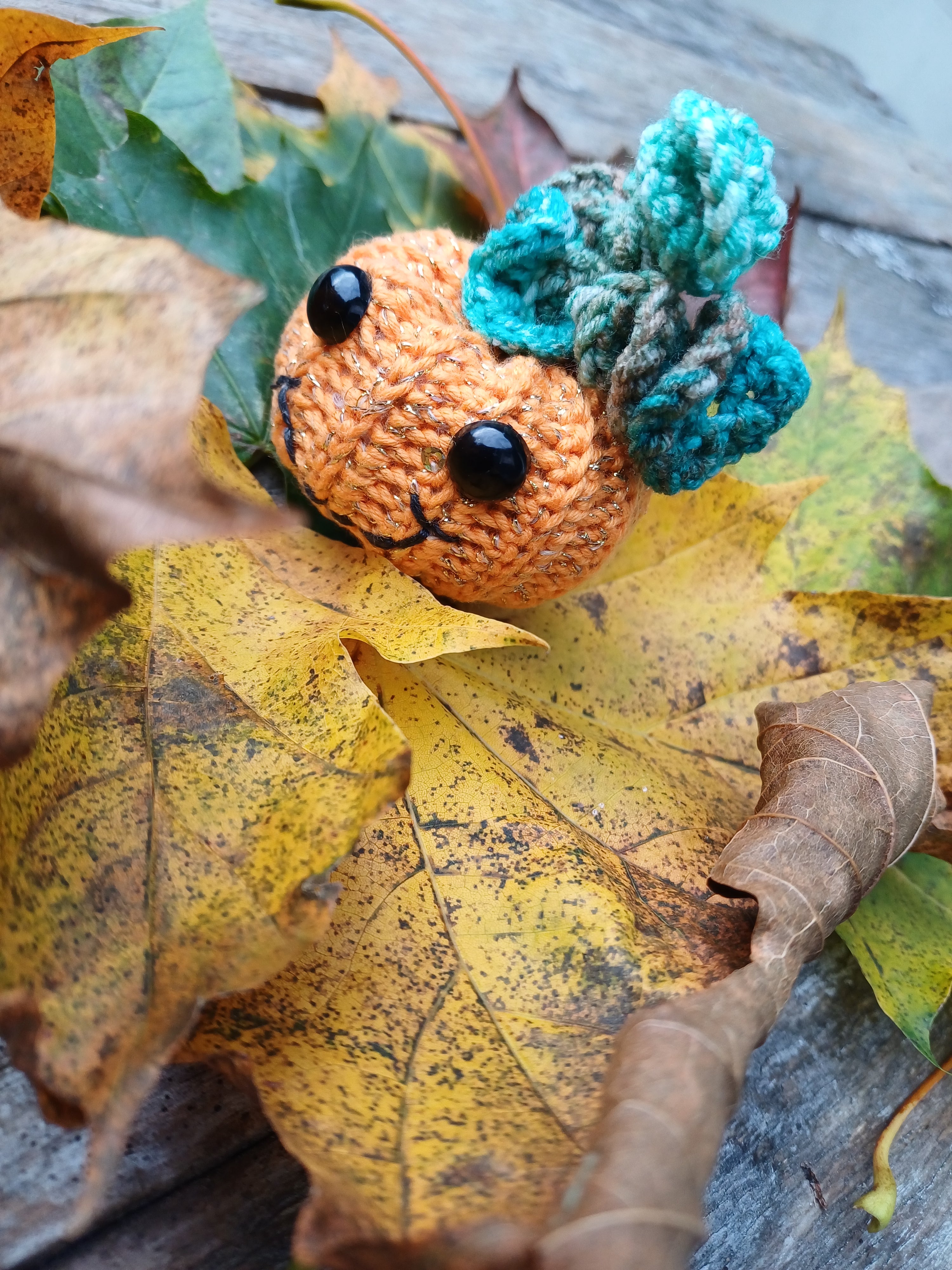 Helouvino moliūgai M dydžio