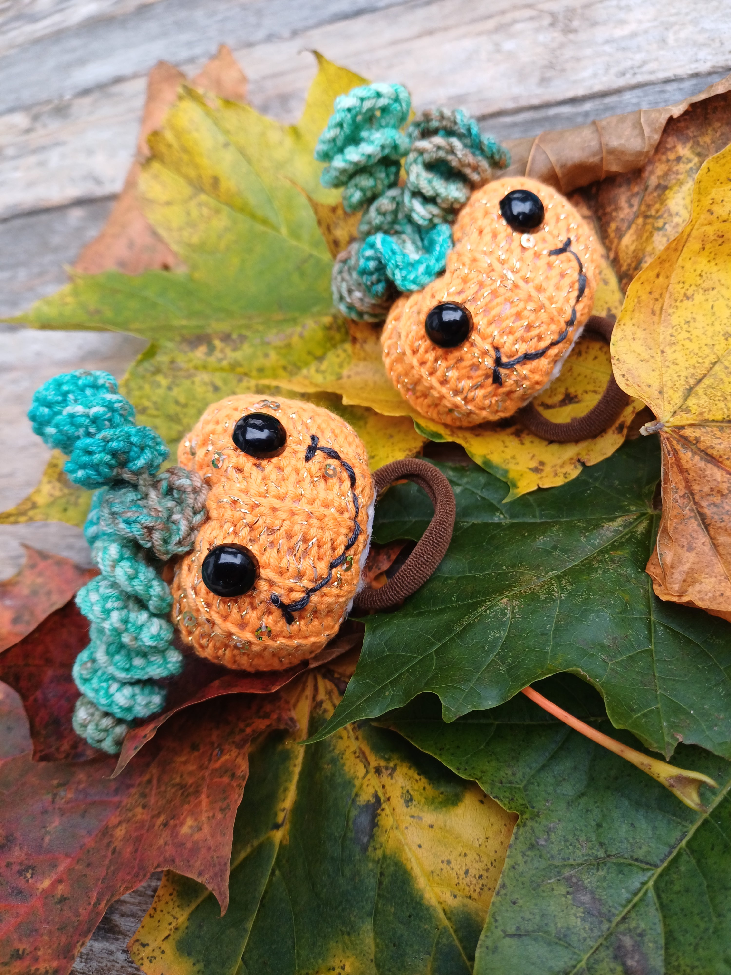 Helouvino moliūgai M dydžio