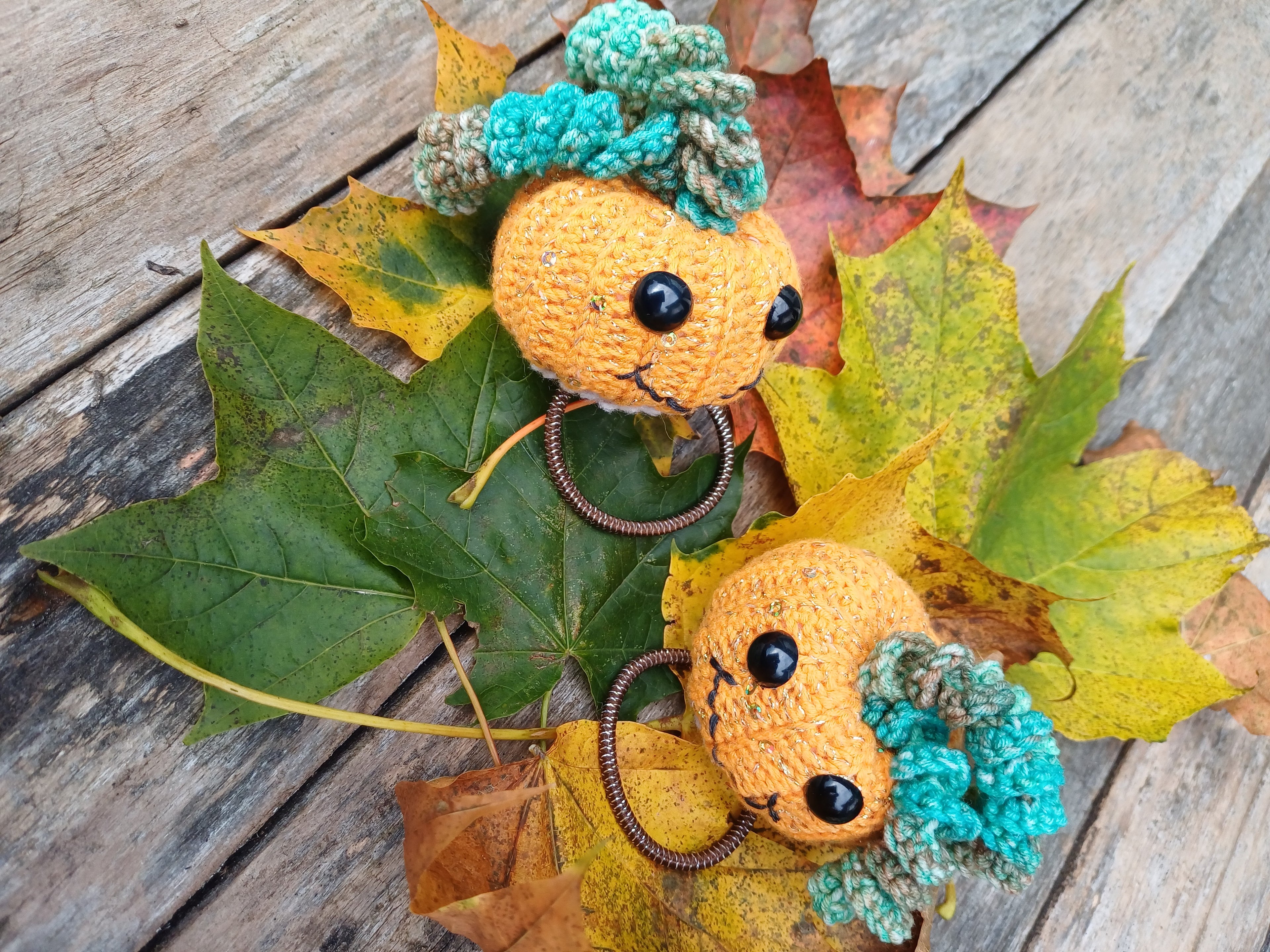 Helouvino moliūgai - L dydžio