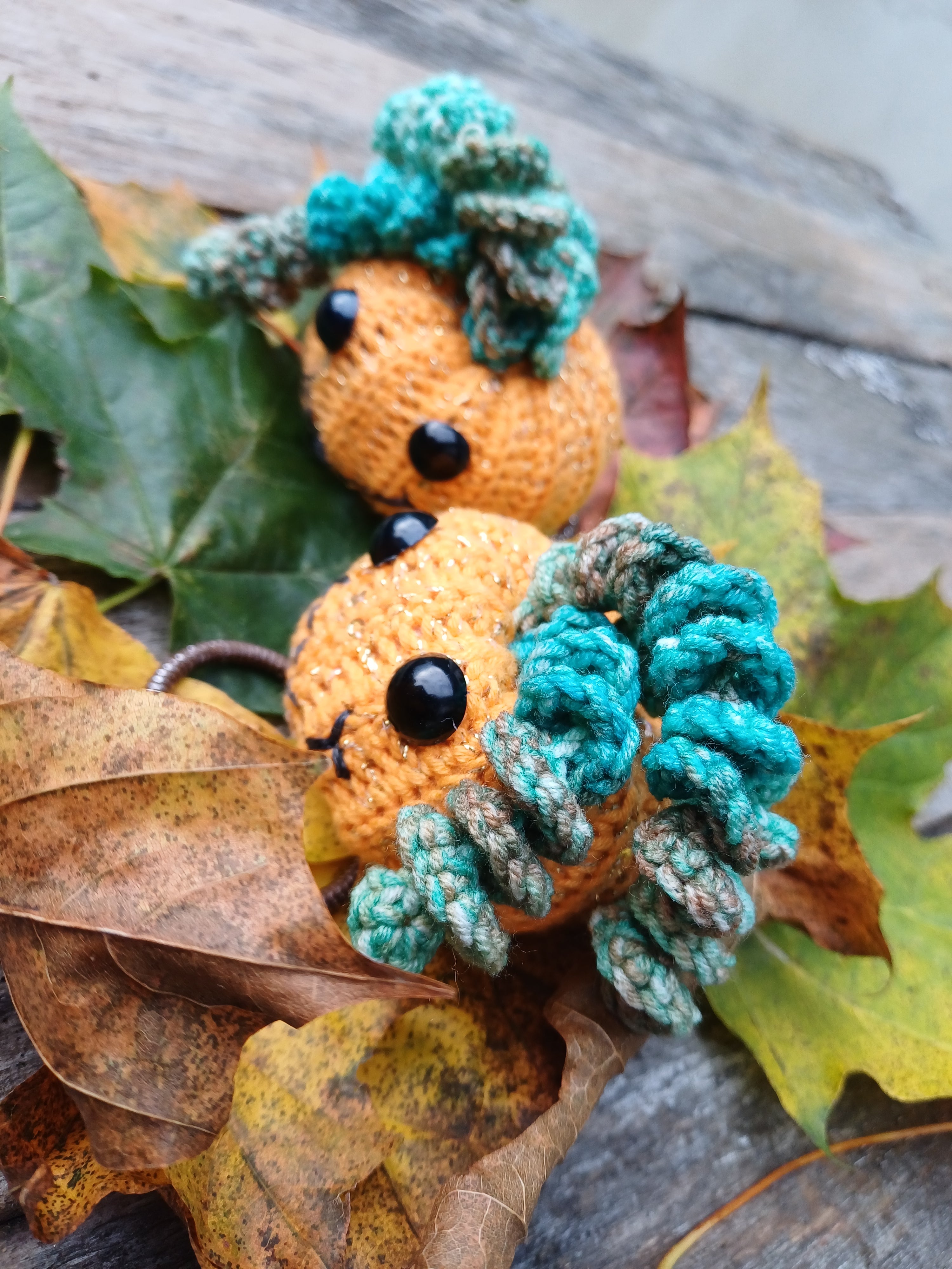 Helouvino moliūgai - L dydžio