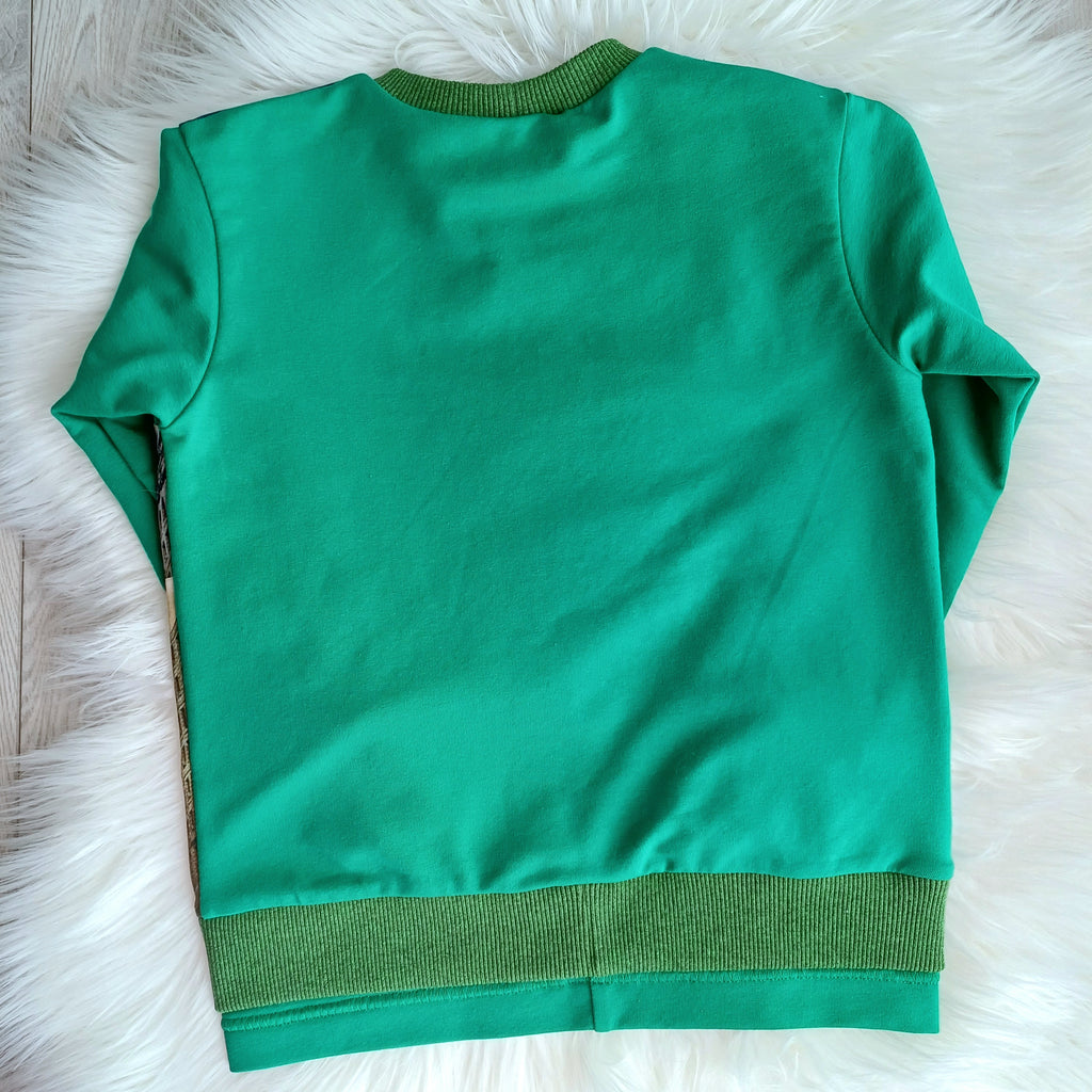 Džemperis berniukams draugai vėžliukai