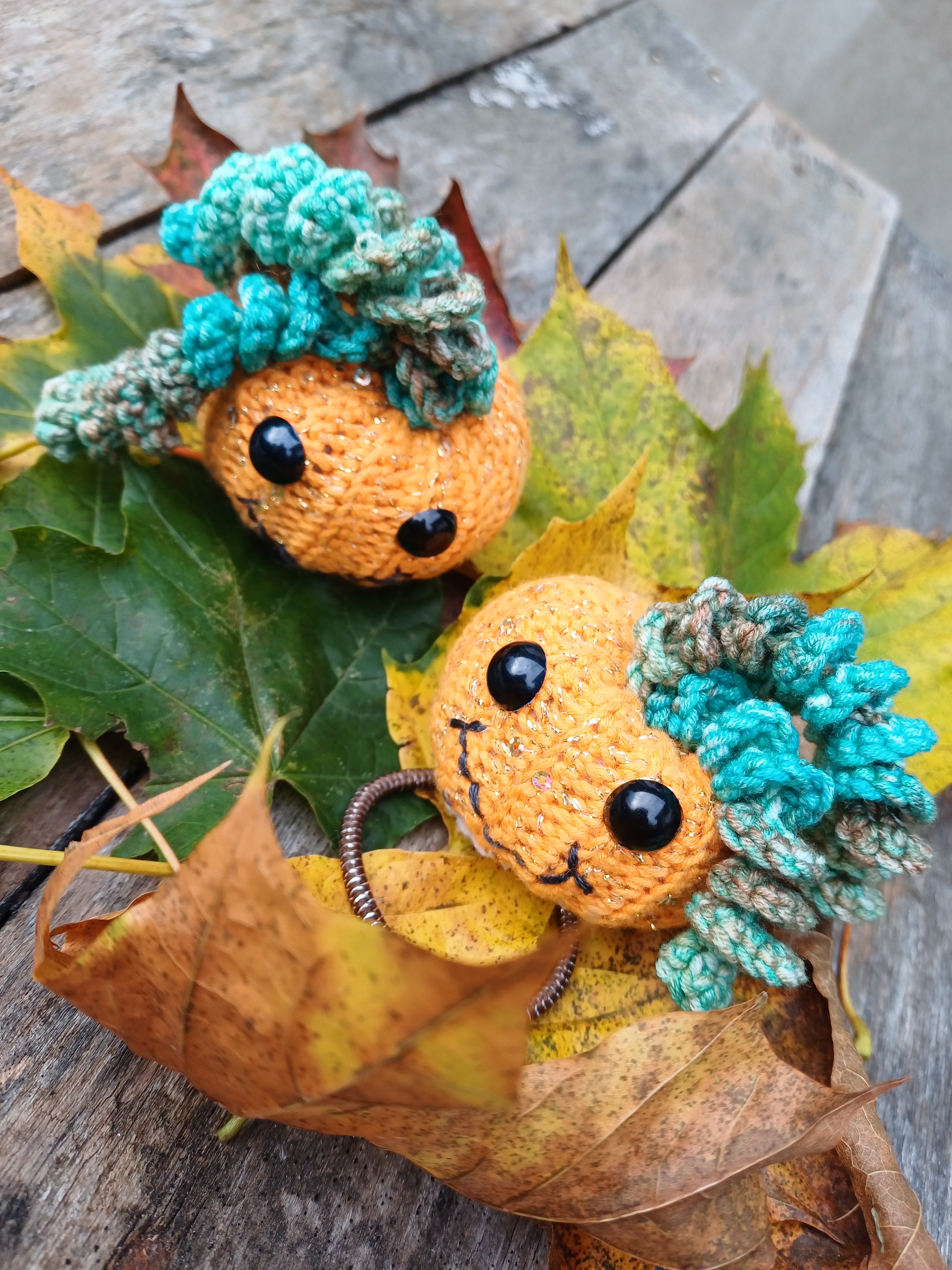 Helouvino moliūgai - L dydžio