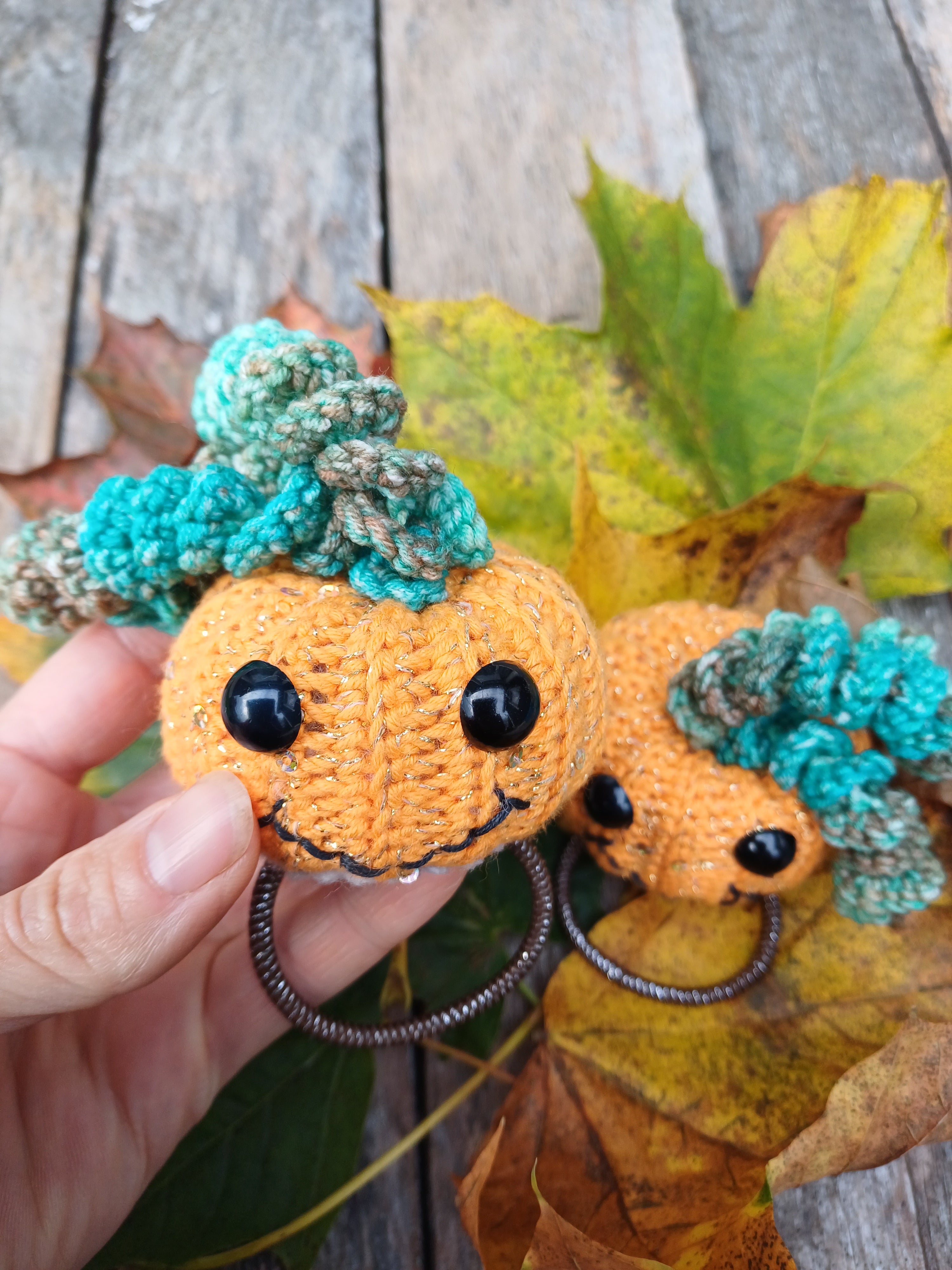 Helouvino moliūgai - L dydžio